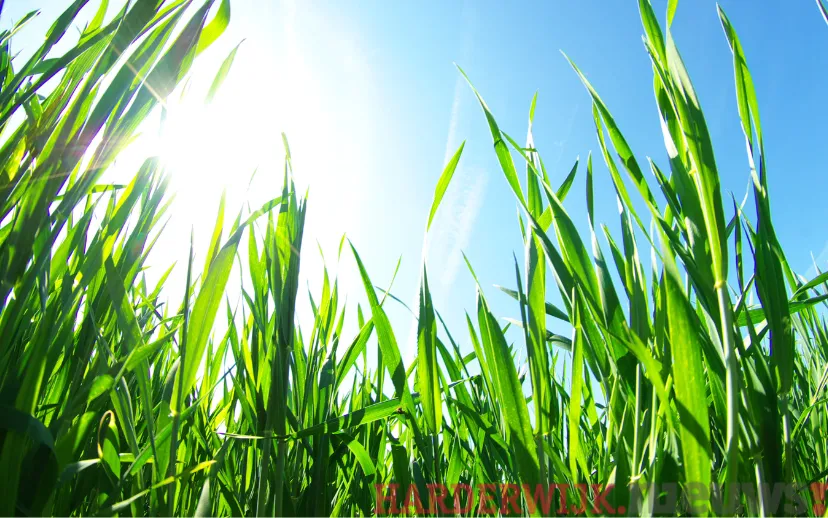 ontwerp zonder titel 20