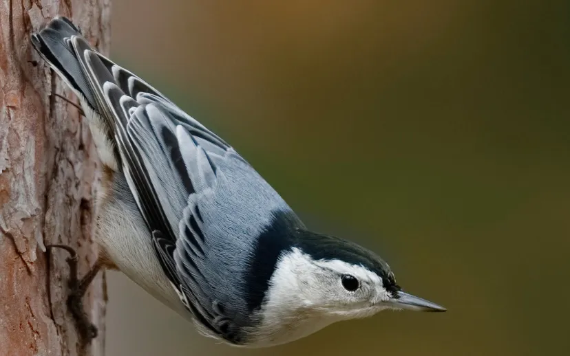 ontwerp zonder titel 2021 04 30t064714761