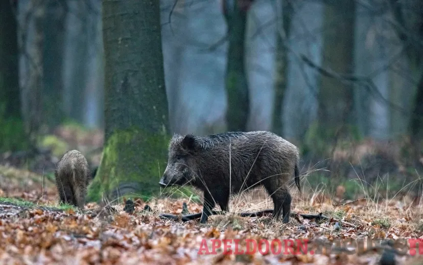 ontwerp zonder titel 2021 05 19t054626934