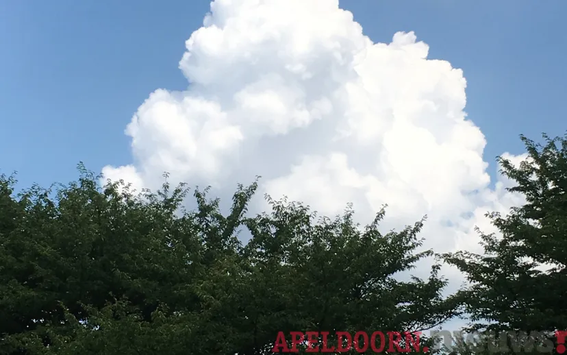 ontwerp zonder titel 2021 07 12t071146895