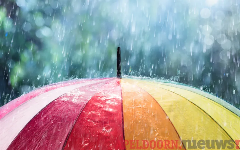 ontwerp zonder titel 2021 07 13t070042507