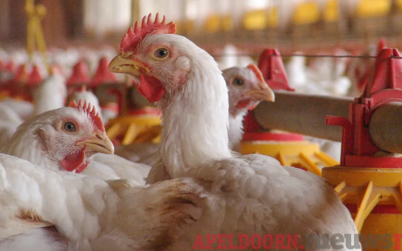 ontwerp zonder titel 2021 11 01t141314609