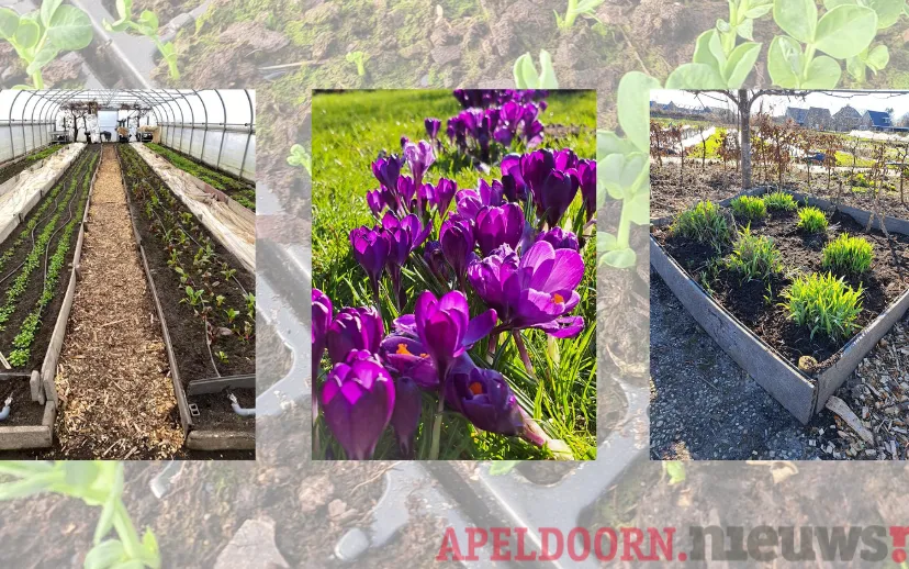 ontwerp zonder titel 2023 03 07t074429150