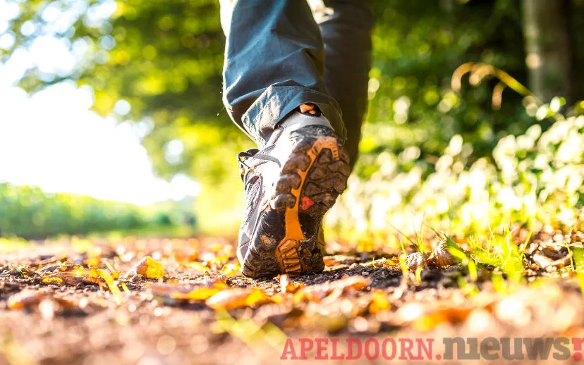 ontwerp zonder titel 2023 03 22t073118163