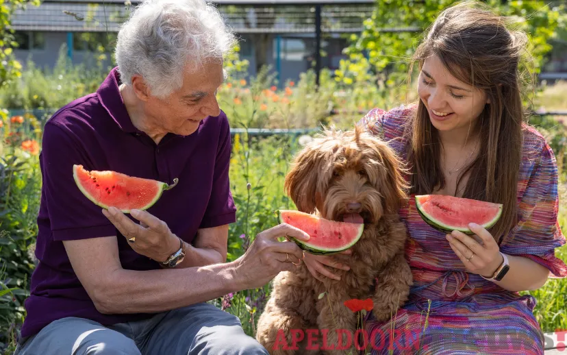 ontwerp zonder titel 2023 07 17t071714107