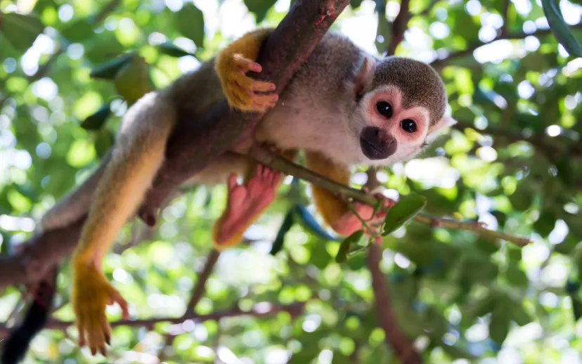 ontwerp zonder titel 2024 07 28t075400850