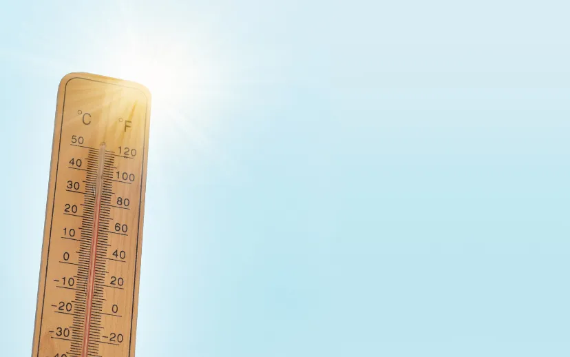 ontwerp zonder titel 2024 07 29t211706814