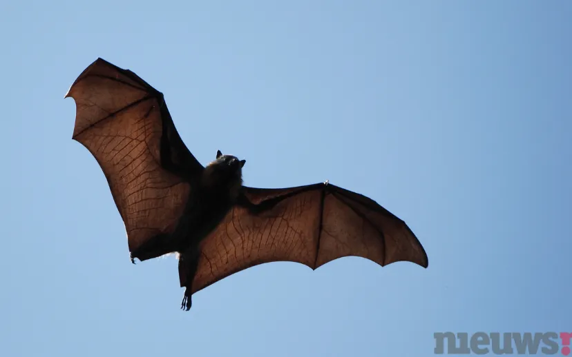 ontwerp zonder titel 24