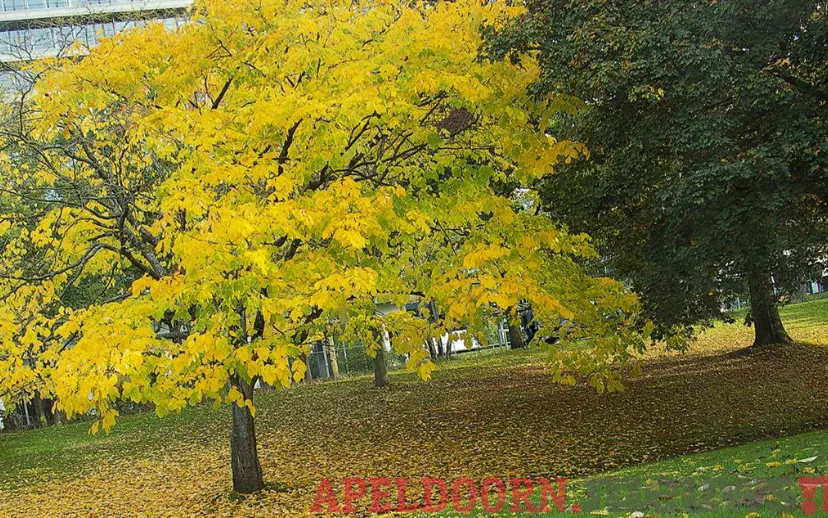 ontwerp zonder titel 26