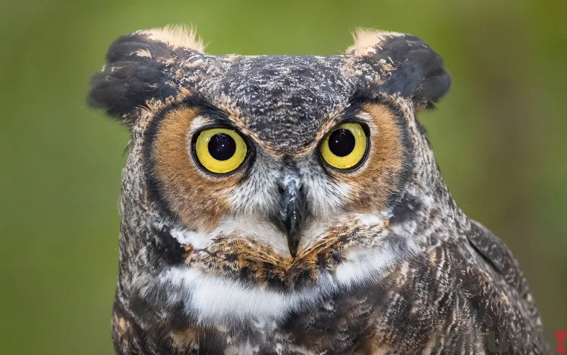 ontwerp zonder titel 28