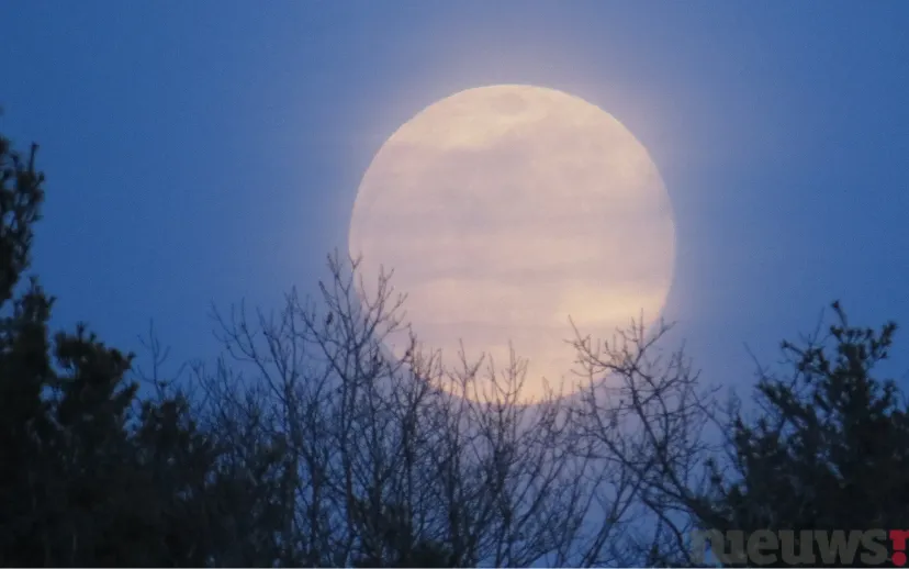 ontwerp zonder titel 3 2