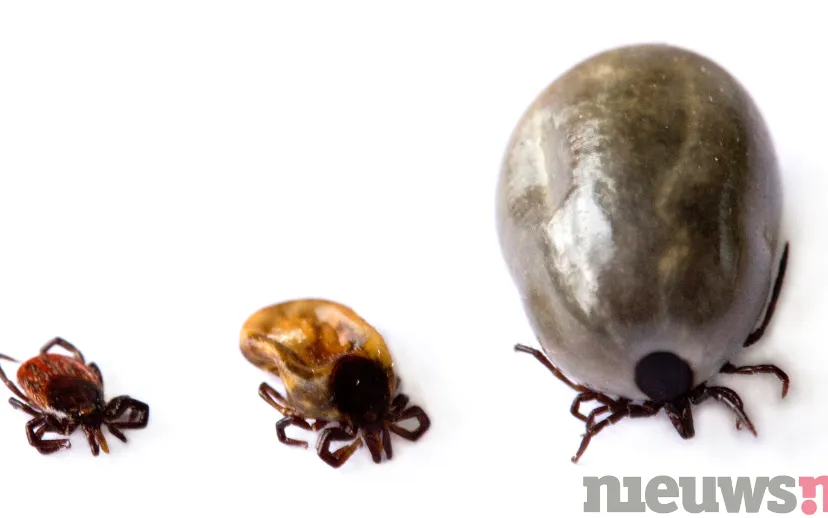 ontwerp zonder titel 3