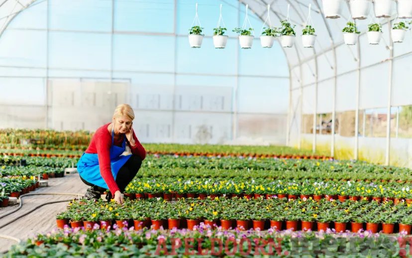 ontwerp zonder titel 30