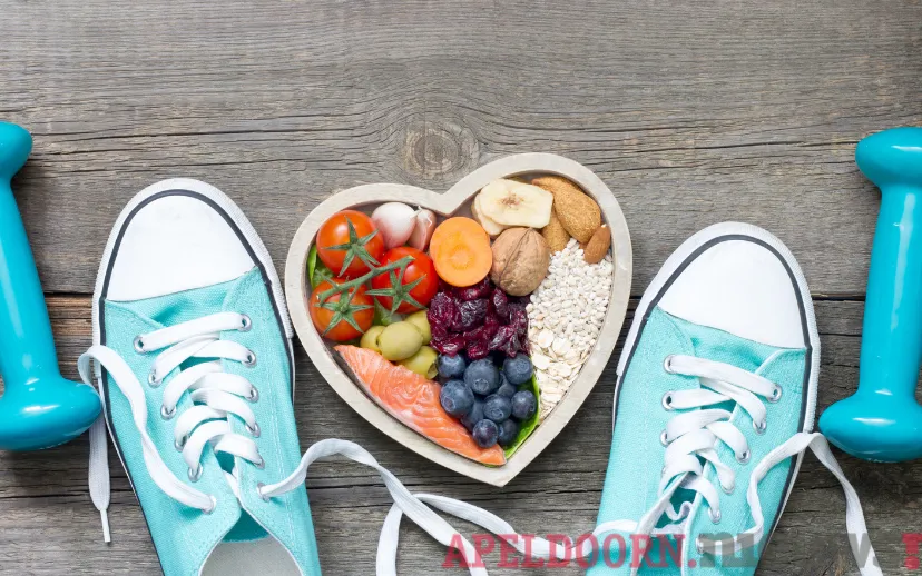 ontwerp zonder titel 32