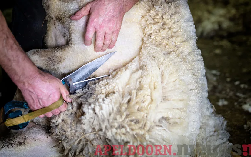 ontwerp zonder titel 4 1