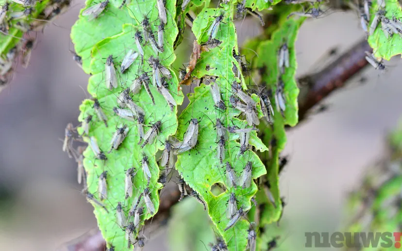 ontwerp zonder titel 41