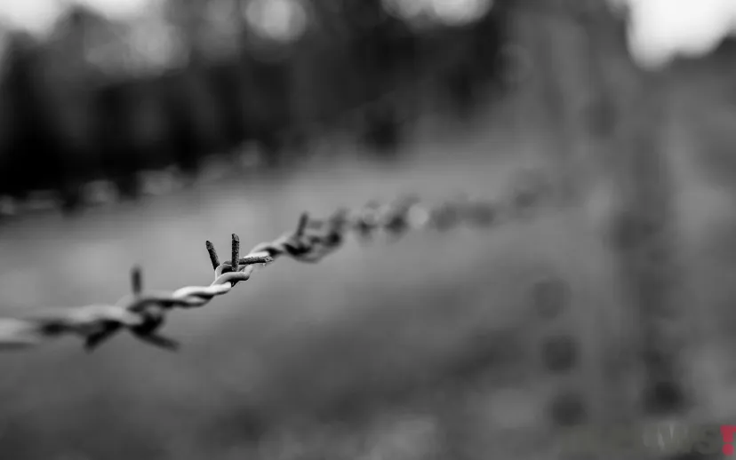 ontwerp zonder titel 42