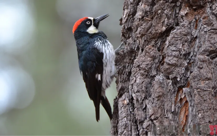 ontwerp zonder titel 5