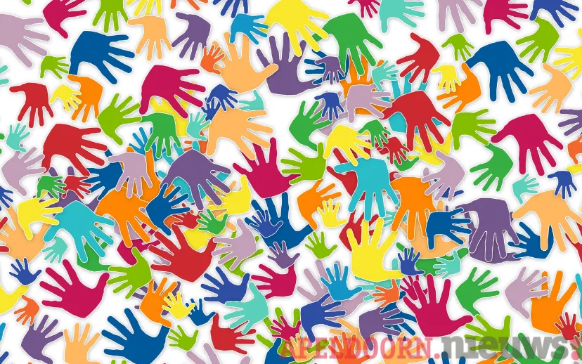 ontwerp zonder titel 51