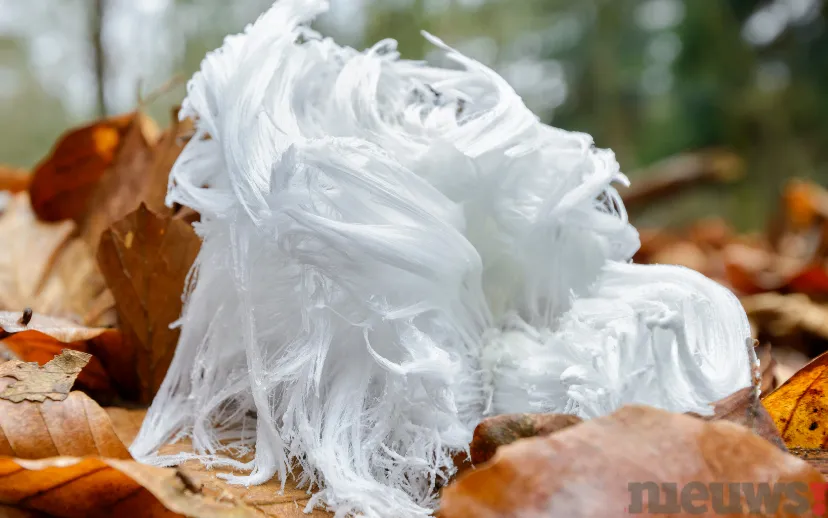 ontwerp zonder titel 59 1