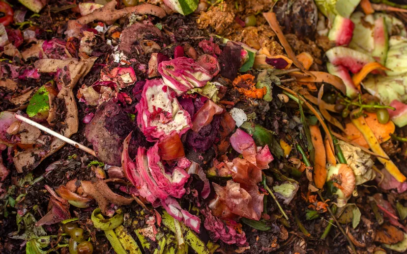 ontwerp zonder titel 61