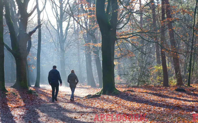 ontwerp zonder titel 66