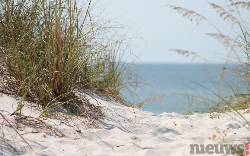 ontwerp zonder titel 68