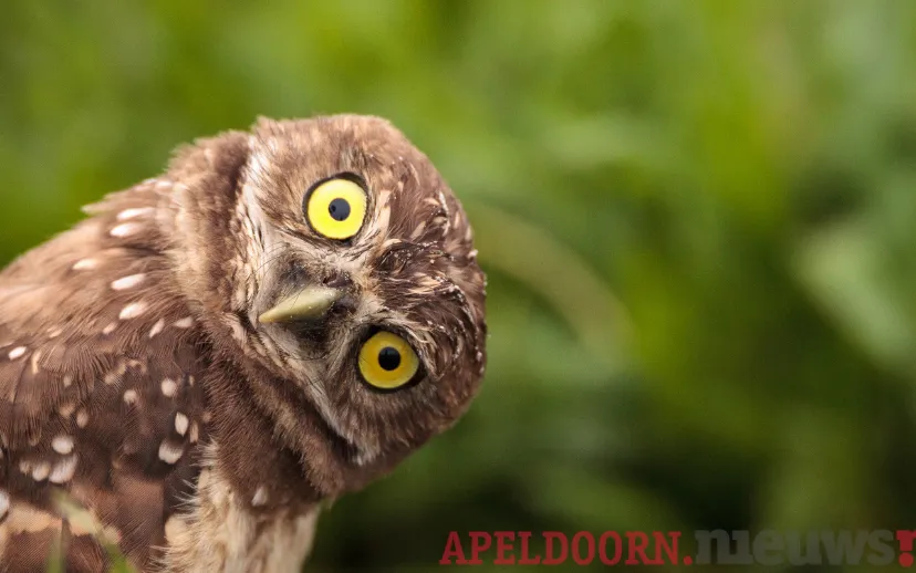 ontwerp zonder titel 7