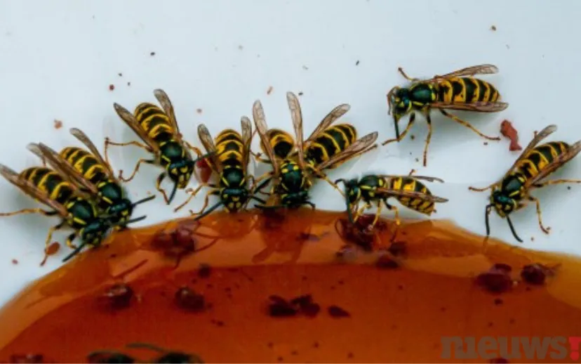 ontwerp zonder titel 71