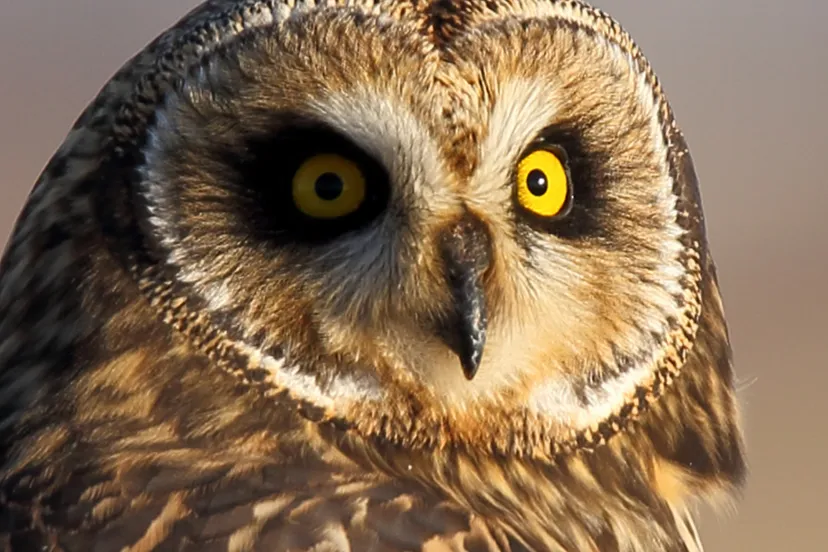 ontwerp zonder titel 75