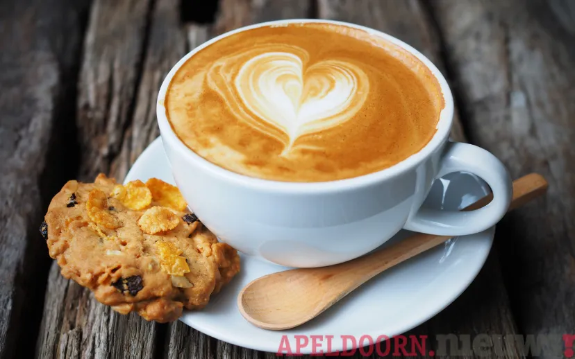 ontwerp zonder titel 78