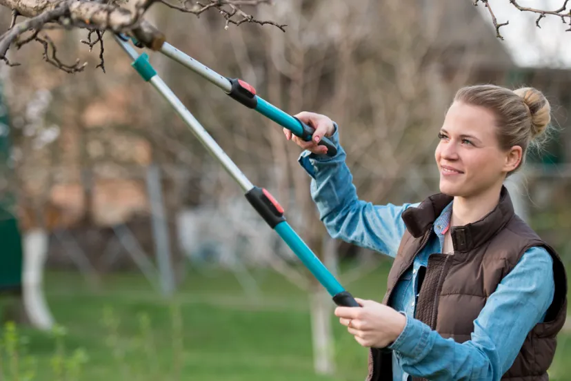 ontwerp zonder titel 78