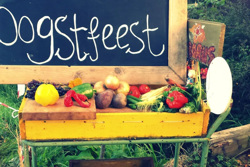 oogstfeest de helleborus