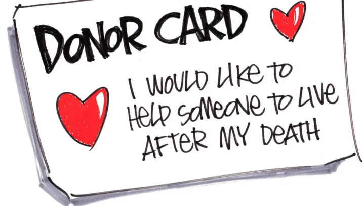 orgaandonatie animaatjes