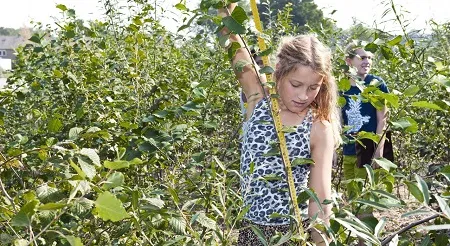 tiny forest zaandam credit jessica de lepper2