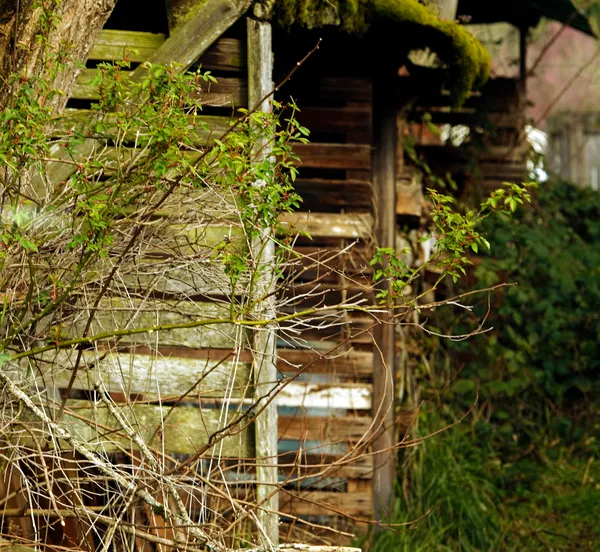 tree grass wood house flower building 296325 pxherecom 2