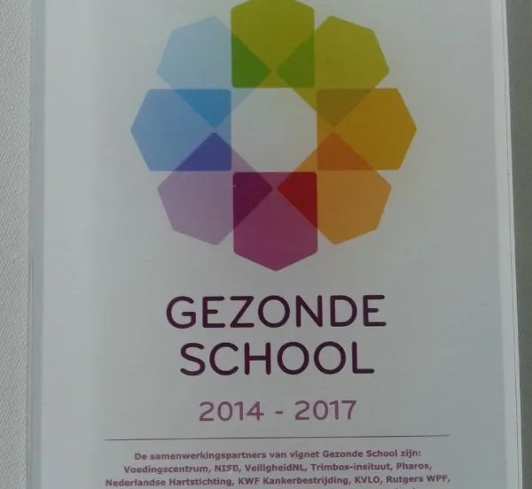 vignet gezonde school leijestroom