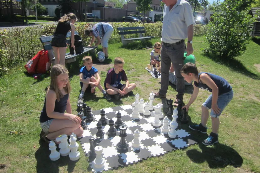 vlindertuin met pleinschaakspel