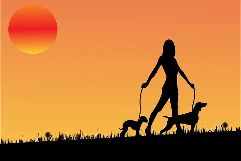 wandelen gezond pixabay