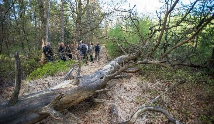wandelen met gids staatsbosbeheer 704x4081