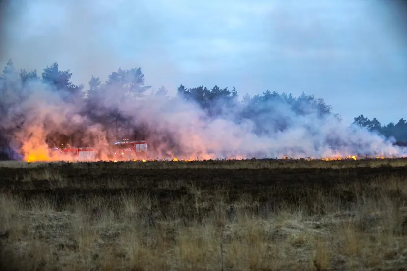 whatsapp image 2021 04 25 at 083540