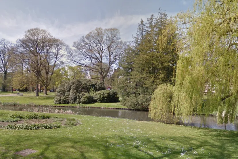 wilhelminapark street view afb