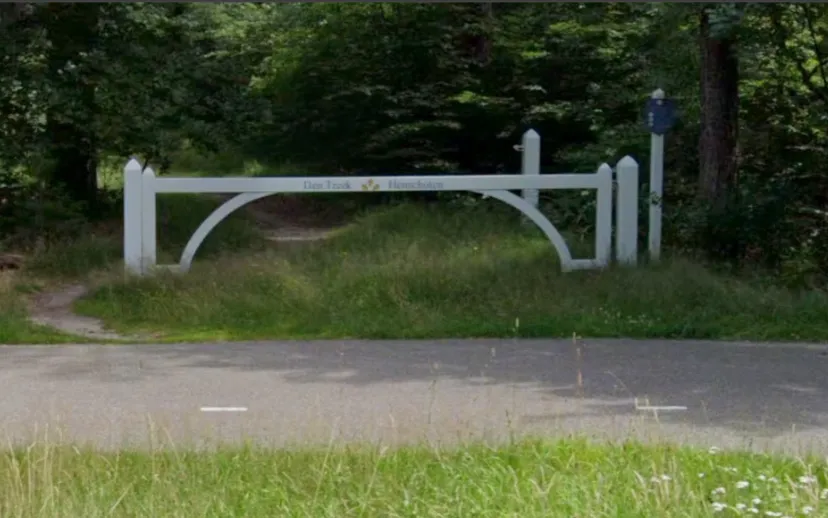 ontwerp zonder titel 2024 08 01t081843245