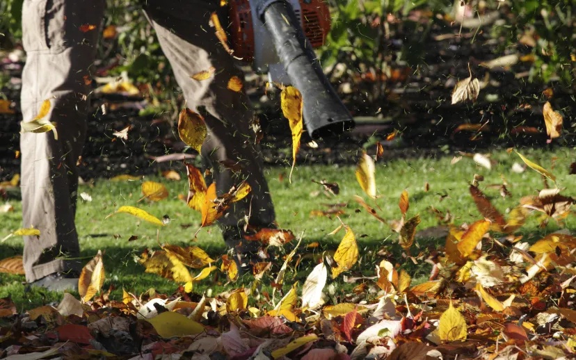 ontwerp zonder titel 17