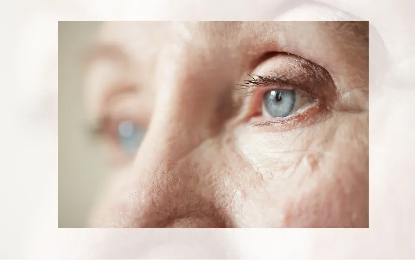 ontwerp zonder titel 2024 10 07t122037274