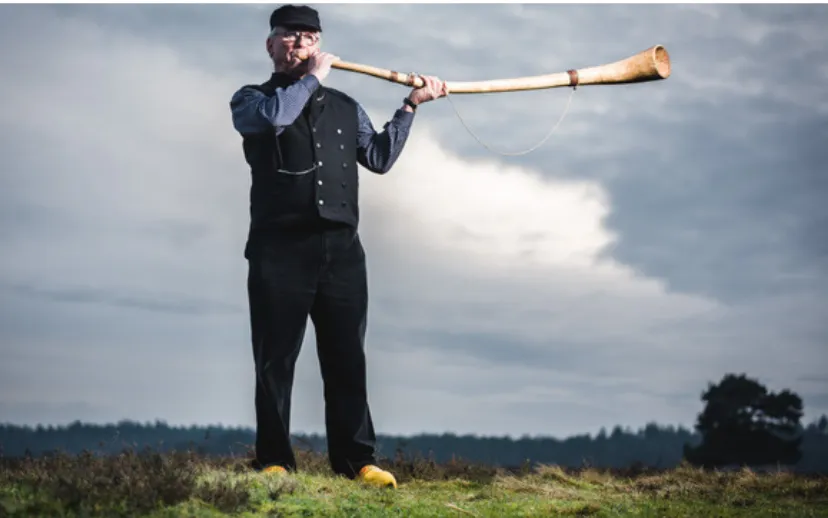 ontwerp zonder titel 52