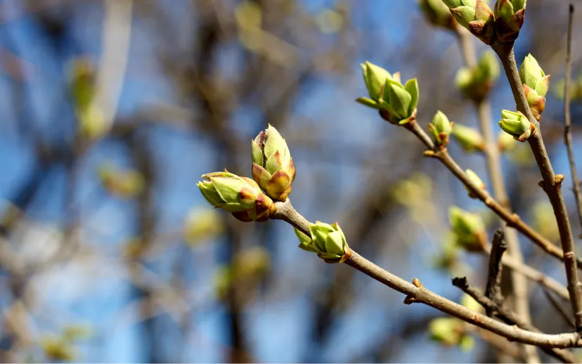 ontwerp zonder titel 16