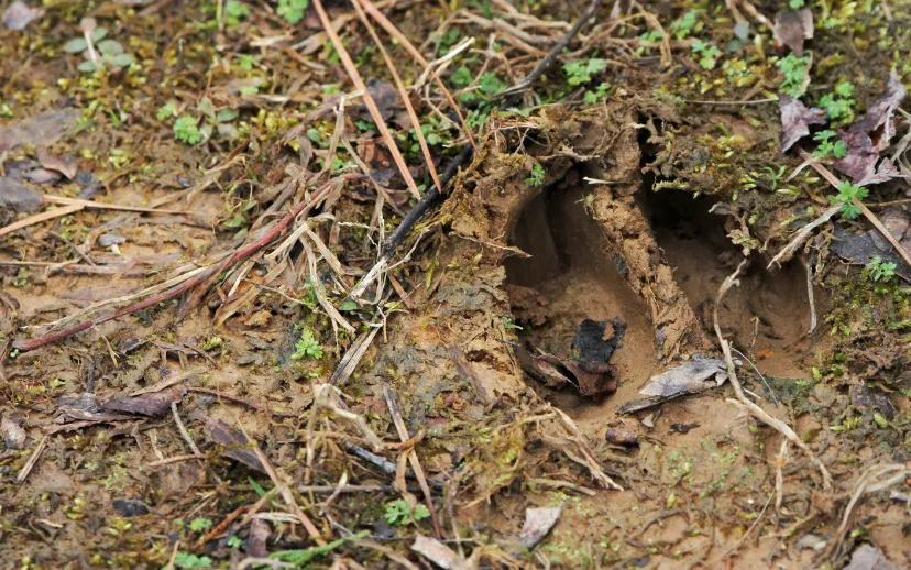 ontwerp zonder titel 8