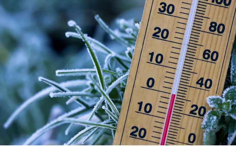 ontwerp zonder titel 95