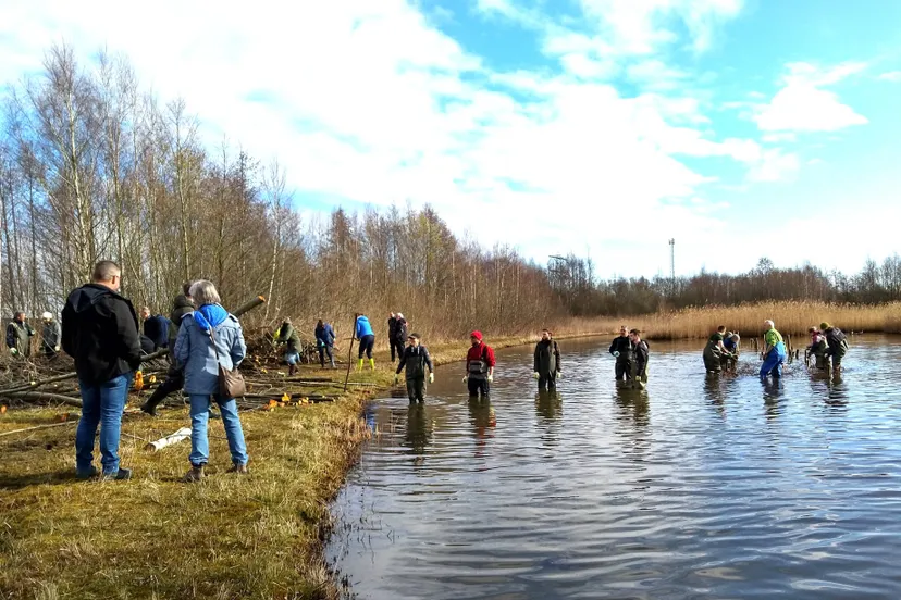 3 juli park zuidbroek 002
